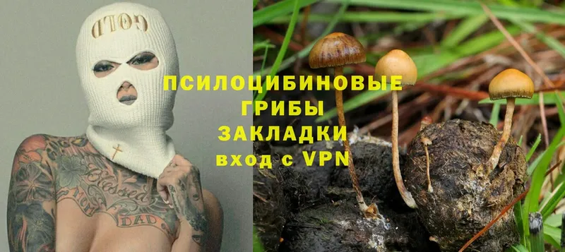 Псилоцибиновые грибы Magic Shrooms  Артёмовский 